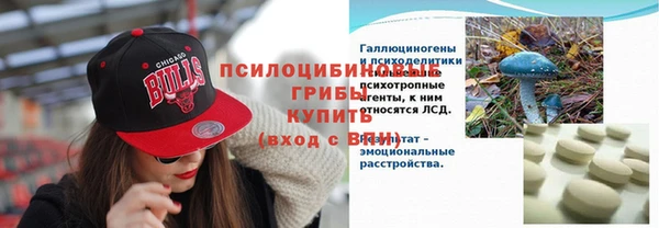 хмурый Алексеевка
