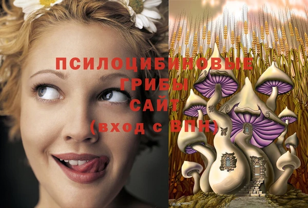 мяу мяу кристалл Алексин